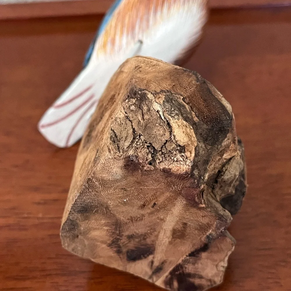 Handcarved Wood Western Bluebird in Burl Wood Bird